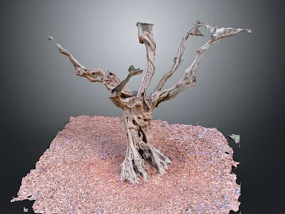 Natural Wooden Root Sculpture With Stone Textured Base And Rustic Ground Design 3d model