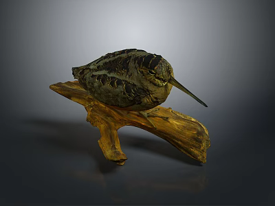 Striped Feathered Bird with Long Beak Perched on Natural Wooden Branch 3d model