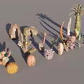Various Types Of Succulent Plants And Cacti With Stones For Indoor Decor