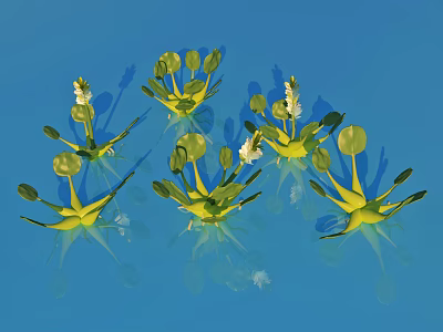 Yellow Flowers With Green Leaves And White Blooms On Blue Background 3d model