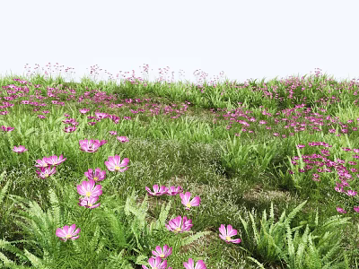Vibrant Pink Wildflowers Blooming In Green Grass Meadow With Lush Foliage 3d model