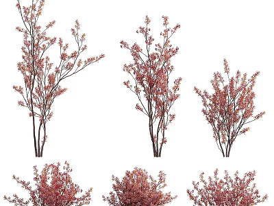 Multiple Arbor Trees With Red Leaves In Different Shapes And Sizes 3d model