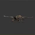 Detailed Horsefly Insect With Transparent Wings Striped Body And Orange Legs