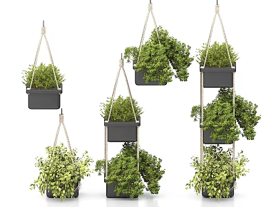 Hanging Potted Bonsai Plants With Green Foliage In Black Pots And Jute Ropes 3d model