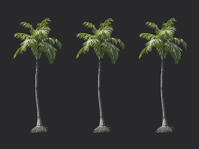 Three Palm Trees with Slender Trunks and Lush Green Fronds Isolated on Dark Background 3d model