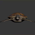 Realistic Orange Brown Patterned Shell Turtle With Spotted Flippers On Dark Background 3d model