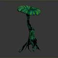 Unique Artistic Arbor With Green Umbrella Shaped Leaves Dark Trunk And Multiple Root Branches