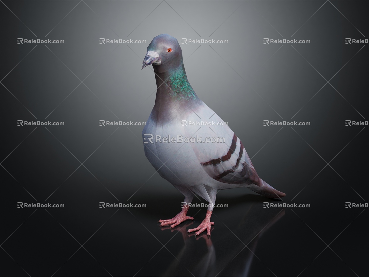 Modern Pigeon Birds 3d model