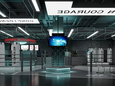 Contemporary Sports Fitness Gym Featuring Boxing Ring LED Screen And Training Gear 3d model