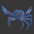 Orange Pink Crab With Large Claws Isolated On Dark Background Front View 3d model