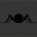 Black Beetle With Long Antennae And Legs On Dark Gradient Background