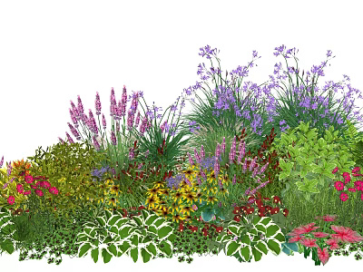 Colorful Garden Plant Combination With Purple Pink Red Flowers And Green Foliage 3d model