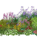 Colorful Garden Plant Combination With Purple Pink Red Flowers And Green Foliage