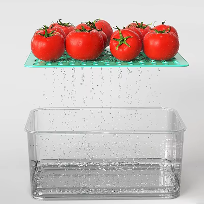 Modern tomatoes 3d model