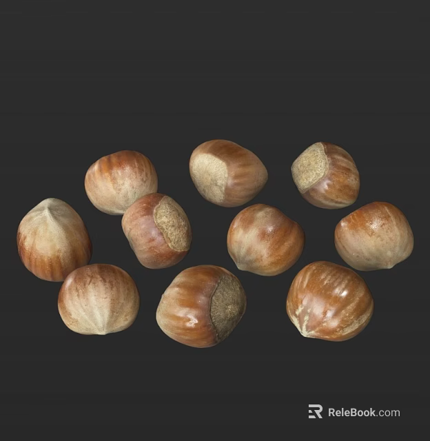 Natural Raw Hazelnuts with Brown Shells Arranged on Black Background 3d model
