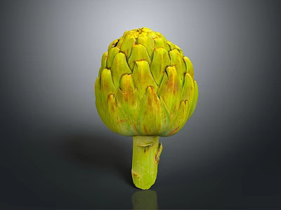 Fresh Artichoke with yellow green scales and a green stem on a dark smooth background 3d model