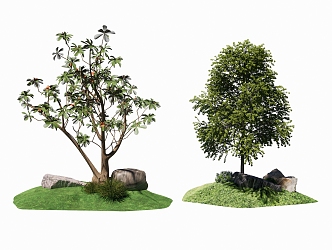 Modern Tree Plant Fruit Tree Stone Landscape Stone Landscape Light 3d model