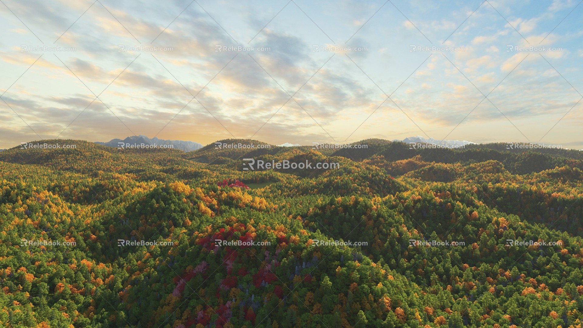 A bird's eye view of the forest autumn forest 3d model