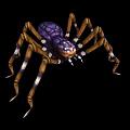 Colorful Spider With Purple Body Brown White Striped Legs Distinct Eyes And Detailed Patterns