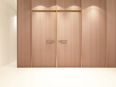 Modern Home Interior With Wooden Double Doors Featuring Vertical Stripes And Lighting 3d model