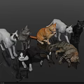 Multiple Colorful Cats In Various Postures Standing And Lying On Dark Background