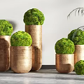 Spherical Green Bonsai Plants in Copper Cylindrical Pots on Gray Floor with Side Green Leaves