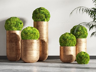 potted plant 3d model