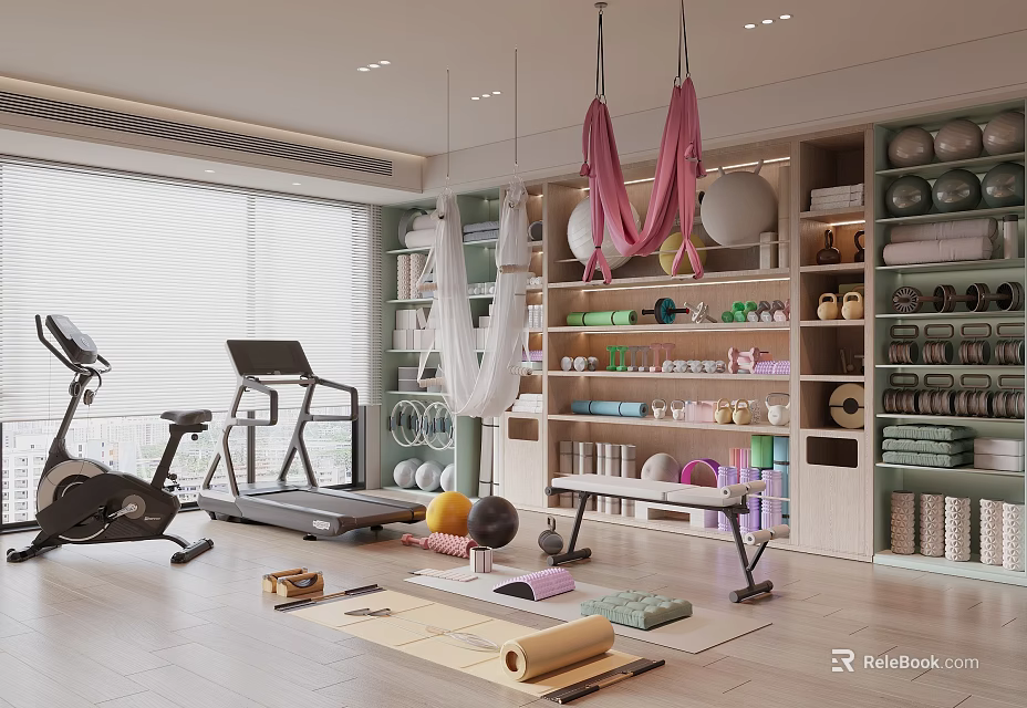 Spacious Home Gym With Fitness Equipment Yoga Hammocks Exercise Balls And Organized Accessories 3d model 