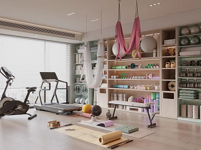 Spacious Home Gym With Fitness Equipment Yoga Hammocks Exercise Balls And Organized Accessories 3d model