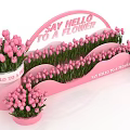 Pink Tulips Photo Spot With Arched Say Hello To A Flower Sign And Pink Pots