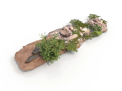 Modern Decorative Arrangement With Wooden Plank Stones Fresh Green Moss And Natural Elements 3d model