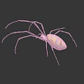 Vibrant Yellow And Pink Spider With Long Thin Legs On Dark Reflective Background 3d model