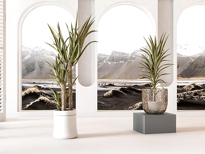 Bonsai Plants in Stylish Pots with Arch Windows and Snowy Mountain Scenery 3d model