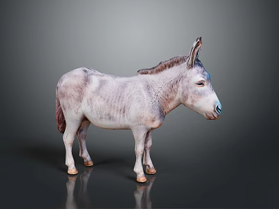 Realistic Gray Donkey Model With Brown Mane Standing On Dark Surface 3d model