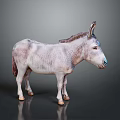 Realistic Gray Donkey Model With Brown Mane Standing On Dark Surface