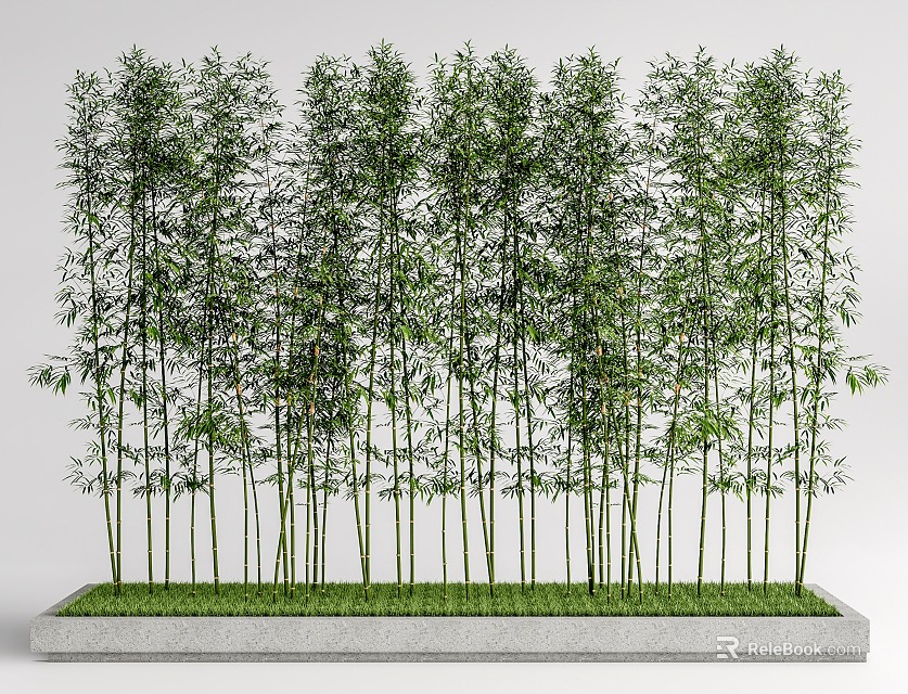 Tall bamboo plants with lush leaves growing in rectangular stone planter 3d model 