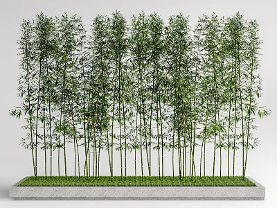 Tall bamboo plants with lush leaves growing in rectangular stone planter 3d model