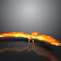 Fiery Flame Phoenix Spreading Wings In Black Background With Reflection