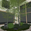Garden Landscape With Slender Trees Green Shrubs And Stone Near Modern Building Windows