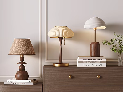 Elegant Table Lamps With Woven Pleated White Shades And Wooden Bases On Dresser And Bookshelf 3d model