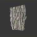 Authentic Plant Bark With Detailed Cracked Surface And Natural Multicolored Hues On Dark Background