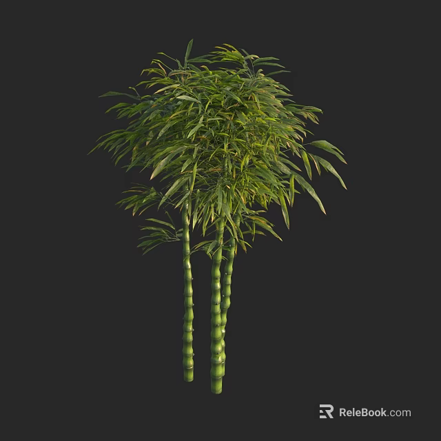 Tall Bamboo Plants Growing with Lush Green Leaves and Thick Stems 3d model 