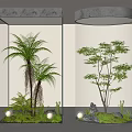 Glass Terrariums With Ferns Small Trees Stones And Lighting For Indoor Decor