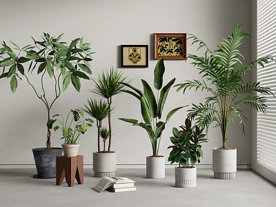 Indoor Bonsai Potted Plants Various Greenery In Stylish Planters For Home Decoration 3d model