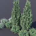 Shrub Tree Garden Plants Landscape Shrubs Landscape Trees Grass Trees Flowers and Plants 3d model