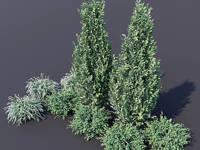 3D Model of Green Bushes with Tall and Short Shrubs for Landscaping Design 3d model