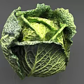 Fresh Green Cabbage Vegetable With Vibrant Leaves And Detailed Textured Surface