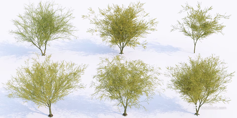 Arbor Trees With Green Foliage And Brown Trunks Casting Shadows On White Background 3d model