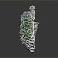 Vibrant Green And Purple Marine Coral Animal Reef Structure On Dark Background