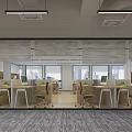 Public Office Space Open Layout Workstations Ergonomic Chairs Computers Green Plants Large Windows Gray Carpet 3d model